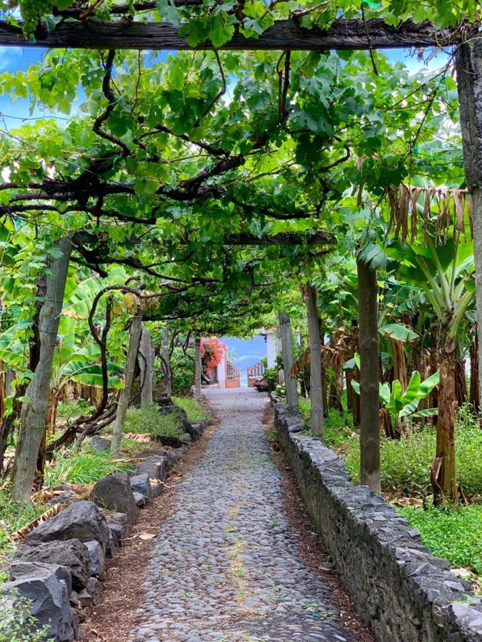 Villa Faja Dos Padres Ribeira Brava Exterior foto