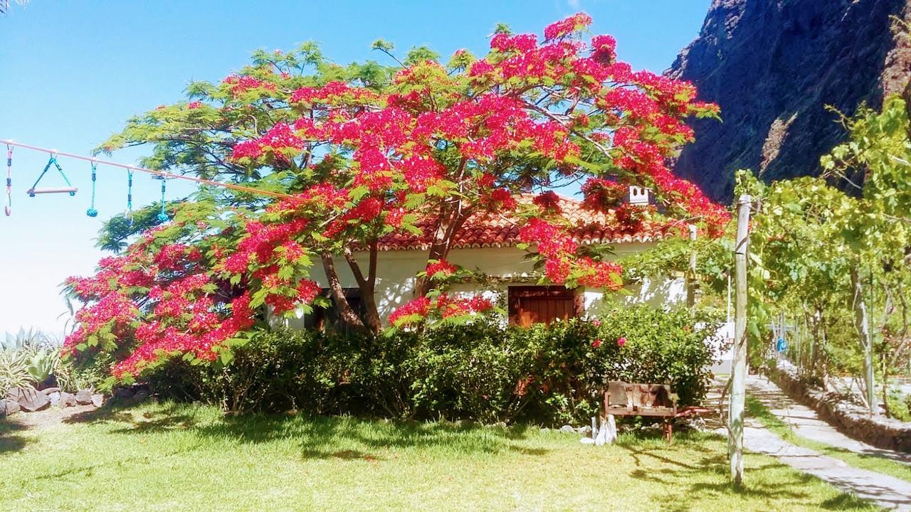 Villa Faja Dos Padres Ribeira Brava Exterior foto