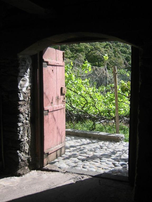 Villa Faja Dos Padres Ribeira Brava Exterior foto