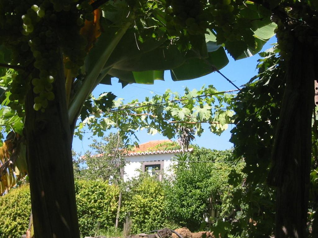 Villa Faja Dos Padres Ribeira Brava Exterior foto